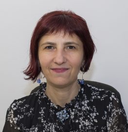 Daniela Mironescu - Harta reciclarii