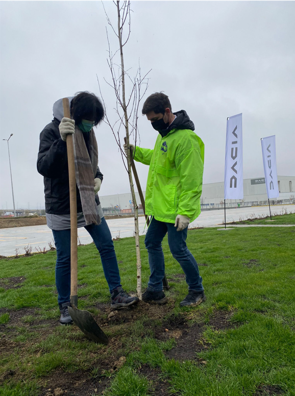 Dacia Viitor Plus plantare Mioveni