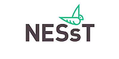 nesst 400x200